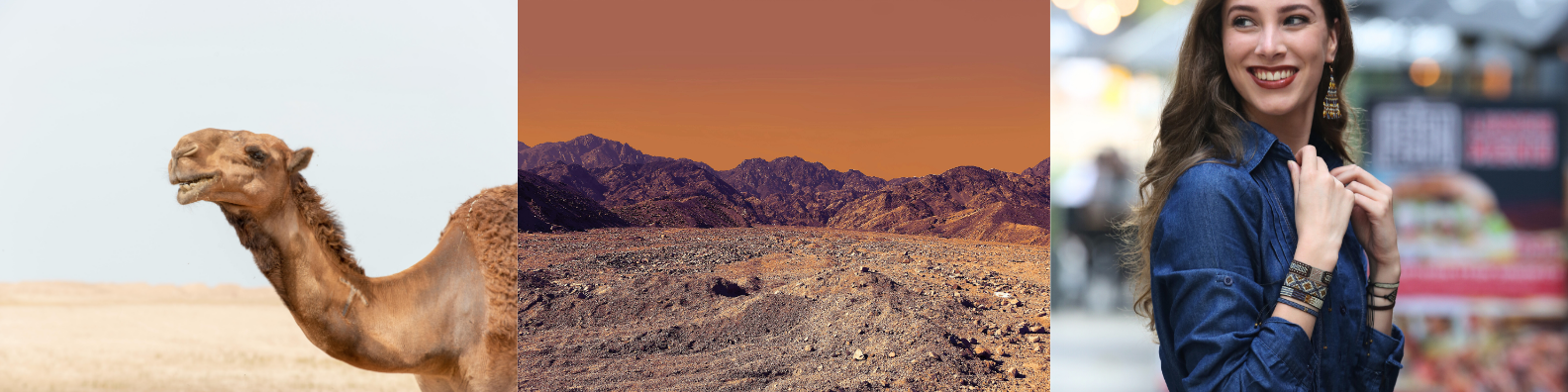 Desert
