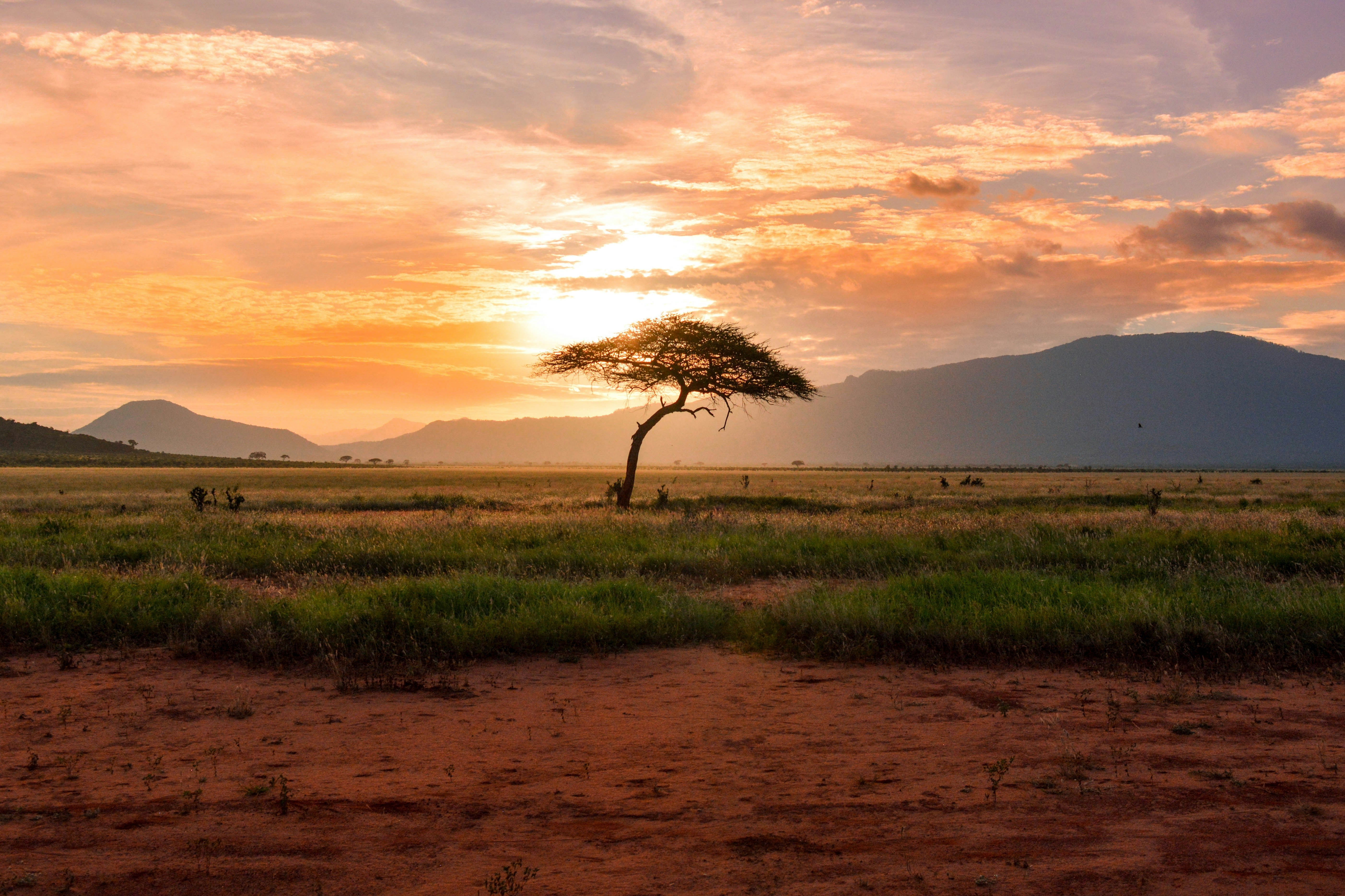 The African Sky Collection