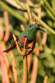 Miniature Hummingbird Pikanini