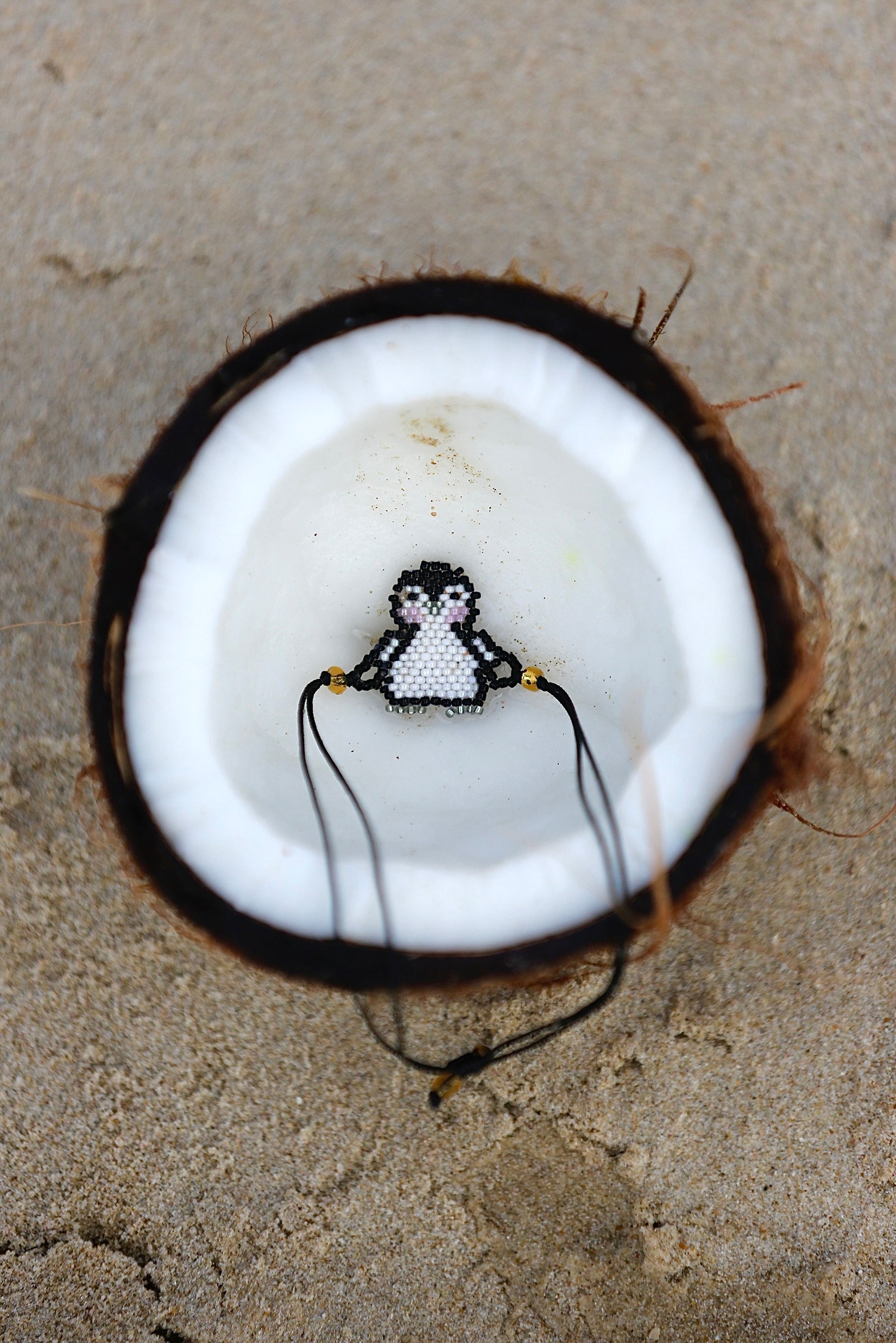 Isongo sePenguin Edlalayo