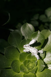 Miniature Bunny Pikanini