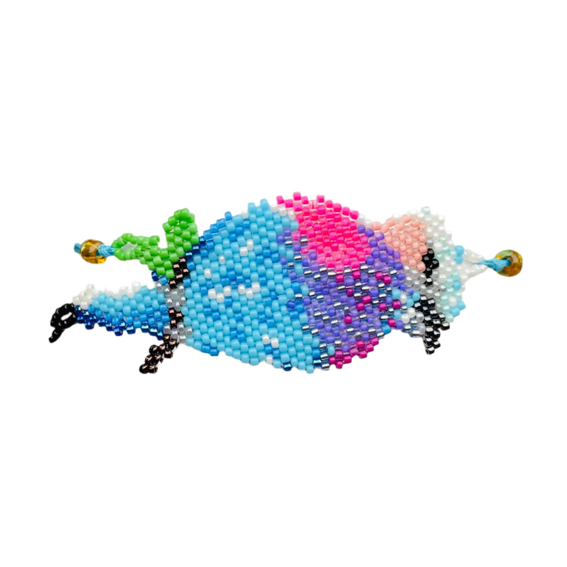 Lilac Roller Bird Isongo