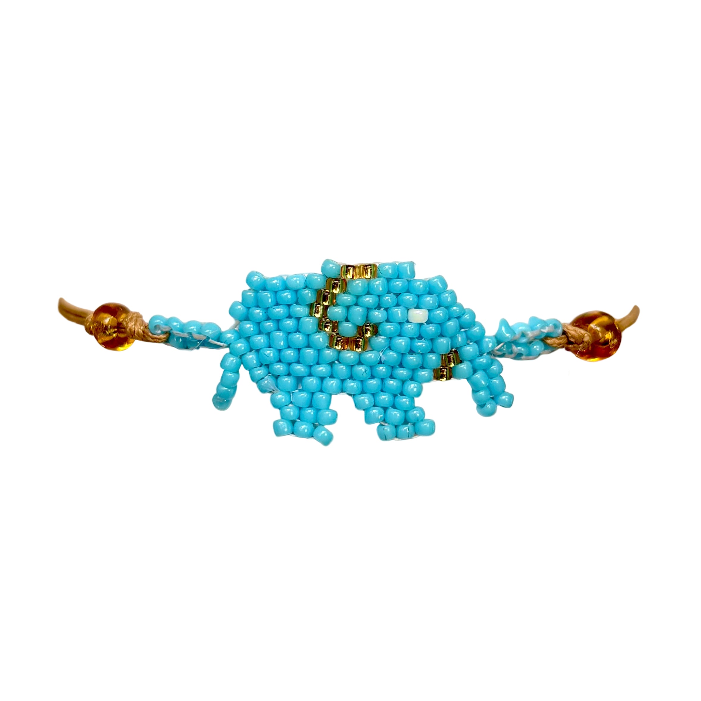 Isongo Lendlovu Ye-Turquoise