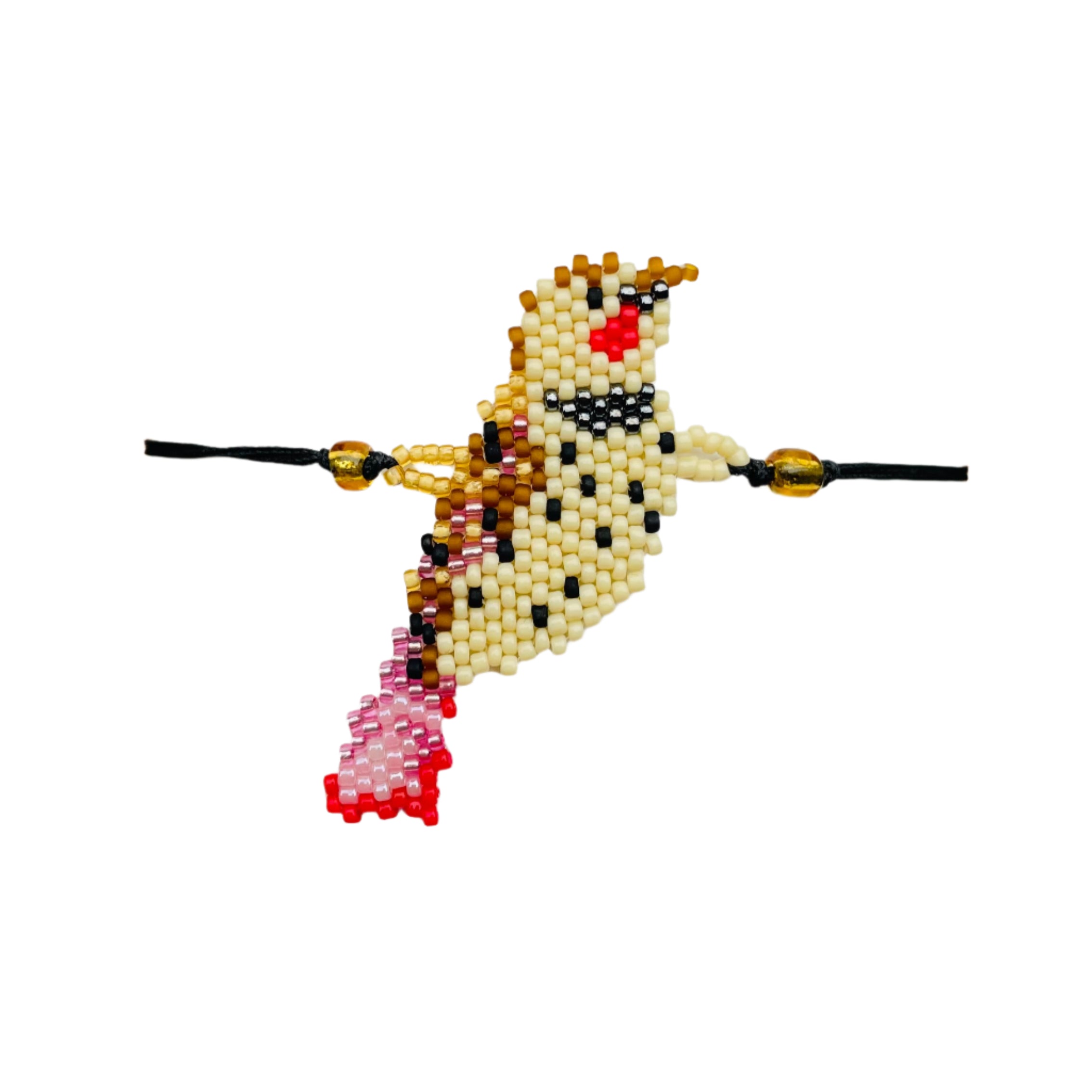 Isongo Lenyoni Eliphefumulelwe Ikhabe