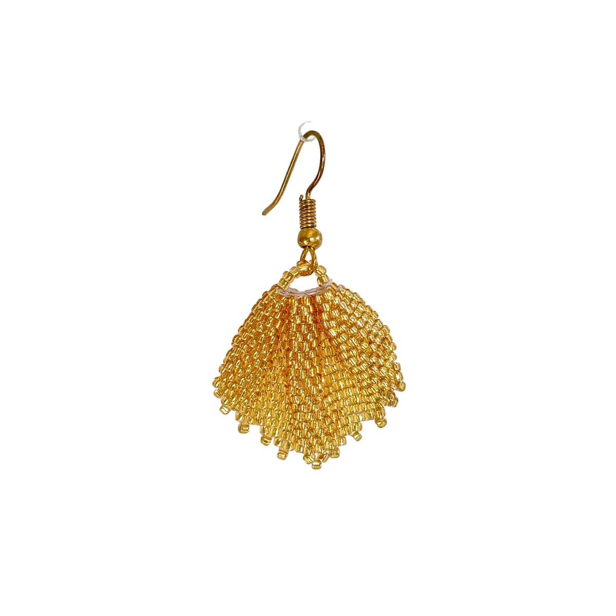 Amacici e-Golden Fanfare