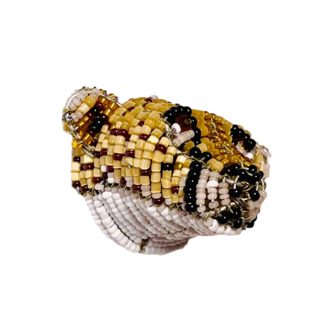 Miniature Cheetah Pikanini