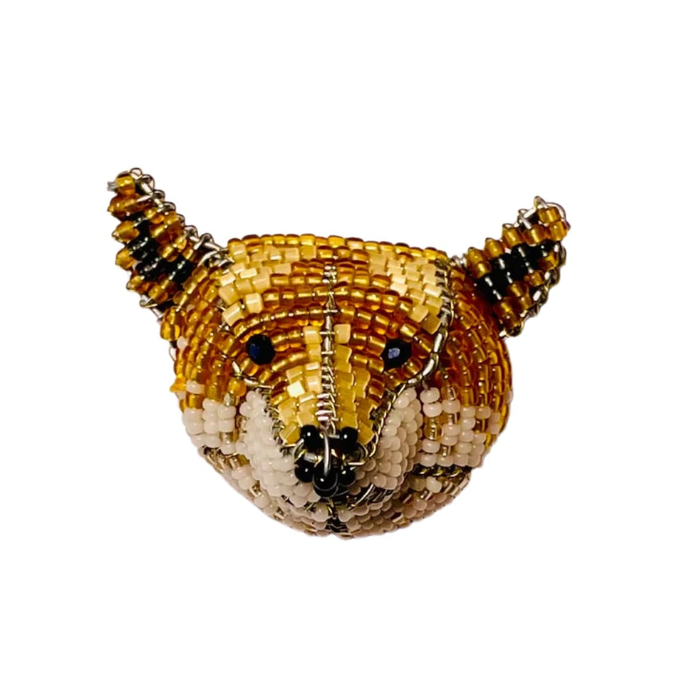 Miniature Fox Pikanini